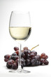 Un verre de vin blanc avec une grappe de raisin rouge Un verre de vin blanc avec une grappe de raisin rouge