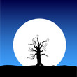 tree on the moon