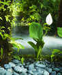 Oriental Garden. Oriental Garden.