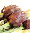 carciofi