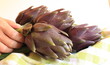 carciofi