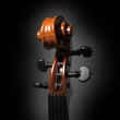 Violin scroll