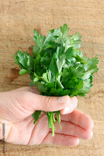 Photo: Parsley Parsley