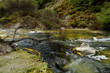 Hot stream with mineral sediments, Waimangu, NZ