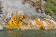 steaming Donne Cliffs, Lake Rotomahana, Waimangu, NZ