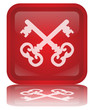 "Security" Button (square - red - shiny - vector - reflection)