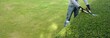 pruning a hedge