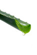 Aloe vera leaves