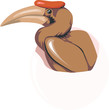 Illustration of Horn-bill with red coloured horn