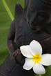 buddha statue with flower
