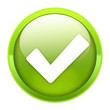 Okay Button Gloss Icon Okay Button Gloss Icon