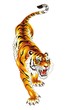 Tiger vector