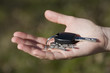 schlüssel in der hand