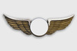Golden wings, on white background. Golden wings, on white background.
