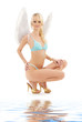 blue lingerie angel
