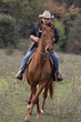 cavalier dans la nature cavalier dans la nature
