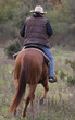 cavalier de dos dans la nature cavalier de dos dans la nature