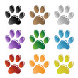 Paw Prints