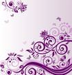 Lilac vintage frame