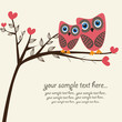 Owls couple. Vector.