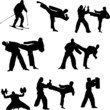 Martial arts silhouettes