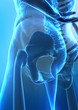 Detail view of hip and pelvis x-ray view Detail view of hip and pelvis x-ray view