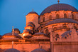 Roof of the Yeni Camii, New Mosque