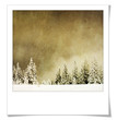 Photo en ligne au meilleur prix Vintage Winter Landscape in Polaroid frame