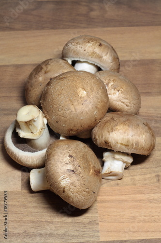 Foto: Champignons Champignons