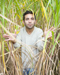 Man standing in a crop of bamboo.