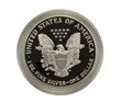 Reverse of 2001w Silver Eagle Proof