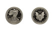 Close-up of 2001w Silver eagle, both sides