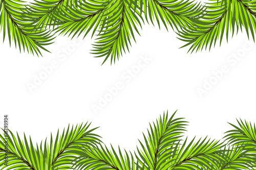 Fir framing Fir framing