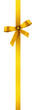 satin ribbon and bow - present