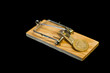 Euro on mousetrap