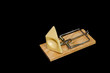 Mouse trap