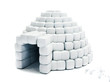 Igloo isolated