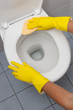 Clean up your house