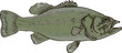 perche black-bass