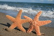 Vacation For Lovers Vacation For Lovers