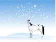 winter horse (vector)