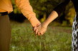 Hands in a meadow close-up