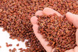 Grape seeds, Traubenkerne