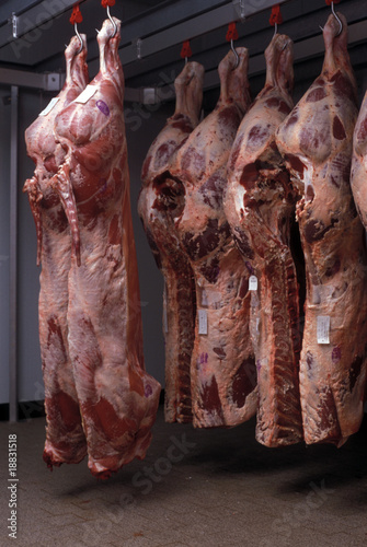 Photo: Carne macellata Carne macellata