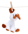 Petit chien en peluche suspendu sur une ligne
