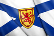Illustration: flag of Nova Scotia flag of Nova Scotia