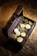 Gold Coins / Treasure