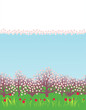 Spring background with a flowering garden