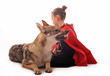 Foto: petit chaperon rouge et loup agressif petit chaperon rouge et loup agressif