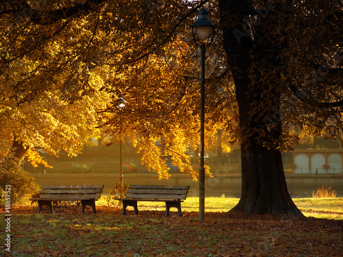 Foto: Golden Light Golden Light